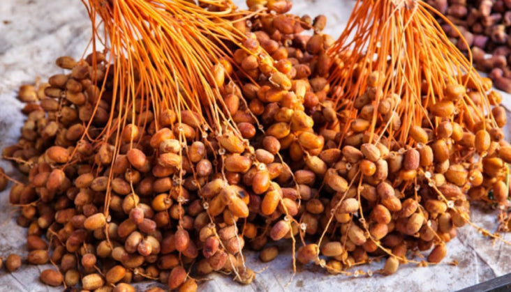 El Riad Premium Dates (Algerian) 1 kg